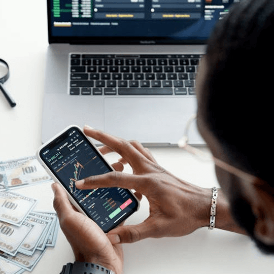 Wild Assetfort crypto investment experts team