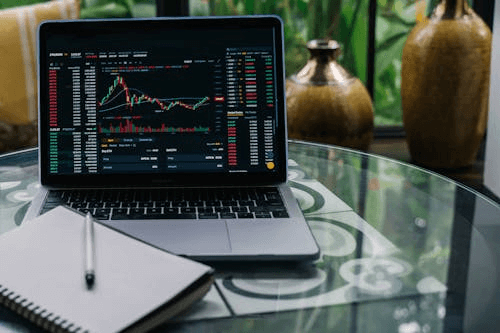Wild Assetfort community and support